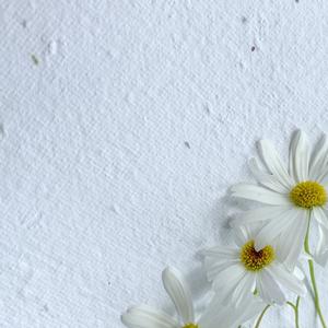 SRA3 Seeded Paper 320mmx450mm Outlet Buy