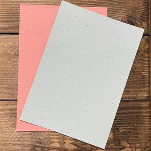 SWAN RIVER DAISY Seed Paper - Colour A4 Discount Newest