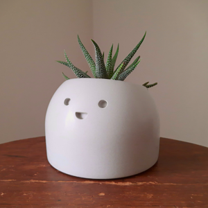 Jolly - Small Succulent Planter Outlet Cheap Pice