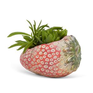 Strawberry Fields Planter Buy Cheap 2025 New