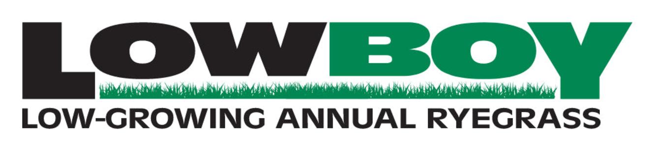 Lowboy Annual Ryegrass Discount Sast