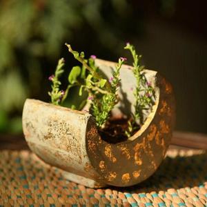 "Bright Side of the Moon" Concrete Table Top Pot / Planter in Grey with Gold Accents Free Shipping Sast
