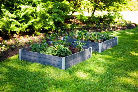 URBANA 4x4x11 Garden Bed, 2 Pack Sale Lowest Pice