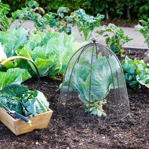 Outdoor Wired Plant Protector Sale Clearance
