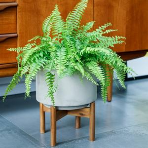 Vigo Concrete Grey Planter with Stand Shop Offer Cheap Online
