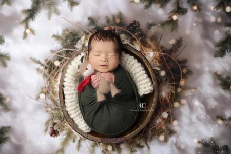 Itty Bitty Sweet Baby Nest of Pine (CC) Sale Visa Payment