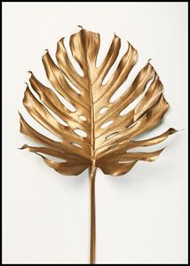 Monstrea Gold Leaf | POSTER BOARD Shop For Sale