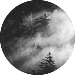 Misty pine woods | CIRCLE ART Sale Cheapest Pice