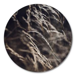 Mellow Grasses 7 | CIRCLE ART For Nice Online