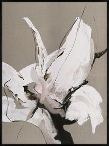 Madaira | DESIGN PAINTING Free Shipping Sale Online