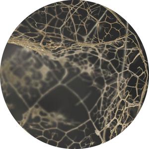 Leaf skeleton dark | CIRCLE ART Fake Cheap Online