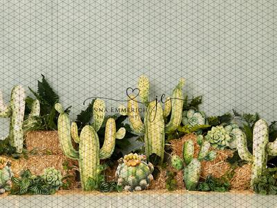 Watercolor Green Cactus (JE) Shop Offer Cheap Pice