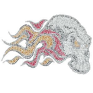 Skull Schedel Doodskop Vlammen Strijk Strass Applicatie 2025 Newest
