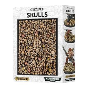 64-29 Citadel Skulls Footlocker Pictures Online