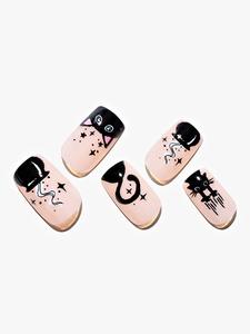 Star Cat/Square Countdown Package Cheap Pice