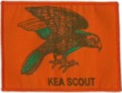 KEA SCOUT BLANKET PATCH, LARGE Sale Genuine