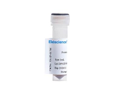 Protein L Magnetic beads, 1mL Cheap Sale Excellent