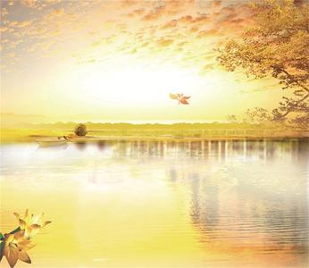 3D Autumn River Scenery 44 Cheap Sale Big Sale
