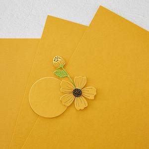 Spellbinders - Tuscan Color Essential Cardstock (10pk) Clearance Huge Surprise