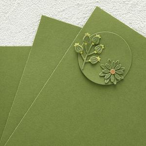 Spellbinders - Fern Color Essentials Cardstock (10pk) New Arrival