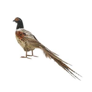 20" Feather Pheasant w/ Tail Outlet Best Sale
