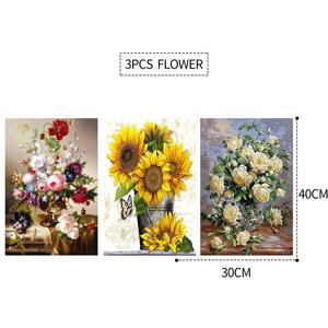 3PCS 5D Diamond Painting Kits Diamond Glue Art Kit Paint for Adults Kids DIY Gift 40x30cm Sale Affordable