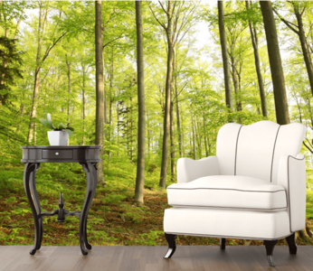 Forest Trees 1 Buy Cheap Great Deals