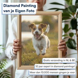 Eigen Foto Diamond Painting Buy Cheap Explore