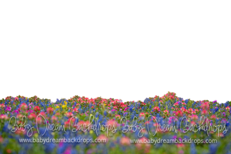 Chasing Wildflowers 2 Overlay Supply Online