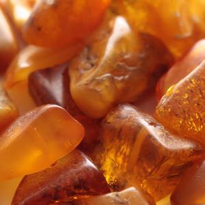 Egyptian Amber Fragrance Free Shipping Discounts