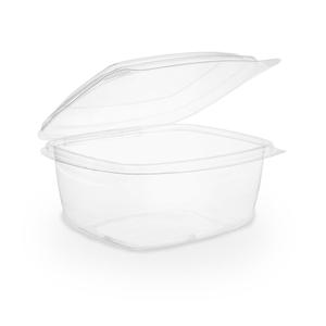 16oz (500ml) Rectangular Hinged Container / Clamshell - PLA Clear Buy Cheap Recommend