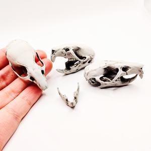 Brown Rat Skull - 1:1 Scale full size replica rodent cranium curiosities and oddities, bone skeleton collector gift and decoration (1 skull) Official Site Cheap Online