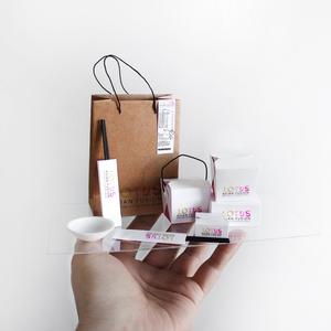 Lotus Sushi Mini Take-Out Packaging, Buy Cheap 2025