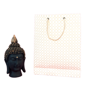 Devraaj Eco-friendly Handmade paper Bags set of 25 bags Buy Sale Online