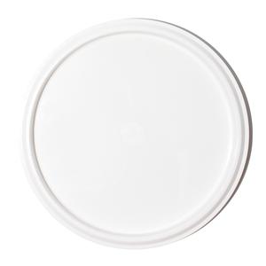 Plastic Ice Cream Tub Lids (10 Count) Shop For