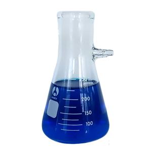 250 mL Filtration Flask 2025 Online