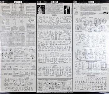 Baseline ISOM Measurement Chart Cheap Sale Cheapest