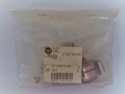 Allen Bradley via TCS 1401N43 Ser. A NSFP 1401 N43 Huge Surprise