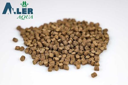 Classic - 6mm - 25kg Free Shipping With Mastercard
