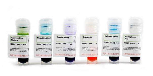 Agarose Dye Markers Set/6 Innovating Science -IS5007 Cheap Sale Low Pice Fee Shipping