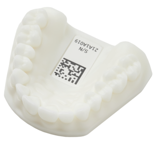 Medit Practice Model Discount Big Sale