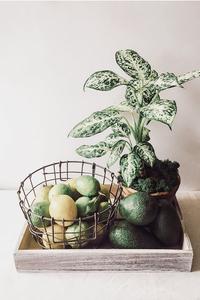 Round Wire Basket Cheap Sale 2025