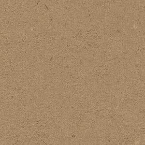 Cardboard Solidz 7813 2025 Unisex Online
