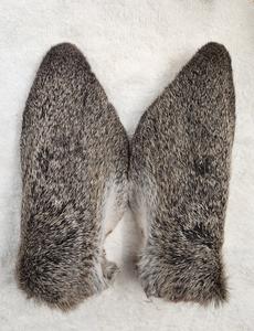 Animal Ears - Wet Specimens Buy Cheap Choice