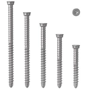 AnchorMark A2 Stainless Steel S2-TTT Decking Screw Supply Cheap Pice