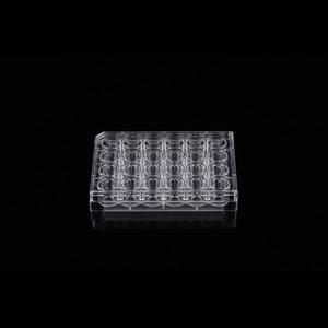 24 Well Glass Bottom Cell Culture Plate, 10mm, 10/cs - 801006 Sale Amazon
