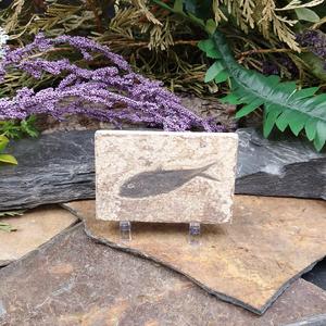 #FFS-3 Fish Fossil Discount Sale Online