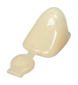 3M P2 POLY CROWNS Bx 5 Very Cheap Cheap Online