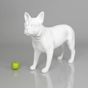 Blue-9 Dog Mannequin, French Bulldog - Patricia Free Shipping Nicekicks