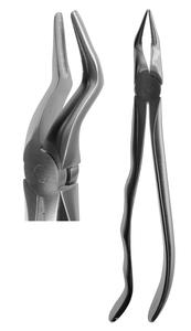 #151 Root Forceps (Profile Handle)  [Z-2138] 2025 Sale Online